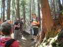 Sea To Sky  Adventure/Guides teaching us about the giant cedars