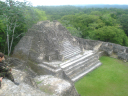 Belize/Caracol  the Mayan ruins.
