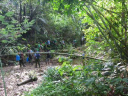 Tropics Eagle/The group trekking through the jungle