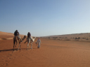 Jinn Badiya/Trekking with camels through Wahiba Sands