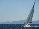 Intsail (Tiger)/Perfect conditions