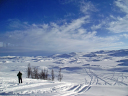 Dragon Telemark Ski/The Hardangervidda Plateau on a nice day
