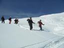Alpine Adventure/Finding their feet!