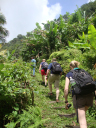 Caribbean Endeavour - Leg 9/Trekking through the rainforest