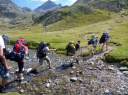 Pyrenees Venturer/Crossing stream