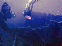 Phoenix Sub Aqua Cyprus/Wreck training on the Zenobia