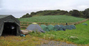 Wandering Wyverns/Regimented camping.  Note the snorers tent kept some distance away at the end.