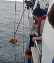 Island Hoppers/Man Overboard Drill