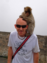 Dorset Rock/Tpr Neil Stoddart with a Barbary ape