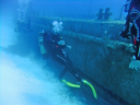 Aquatic Endeavour/Inspecting the P-31 shipwreck