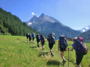 Alpine Eldelweiss/Trek to La Sage