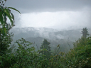 Appalachian Finn/Smoky Mountains