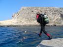 Tartan Maltese/Entering the water
