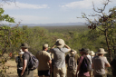 Southern Leopard/The group overlooking Volharding Game Ranch