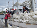 OYT Scotland West Coast Challenge/Stowing the sails at the end of the voyage