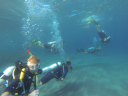 Island Venturer/Dive training