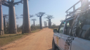 Madagascar Blue/Avenue de Baobabs