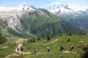 Tour Du Mont Blanc/Day 5 - Descent to Tre-le-Champs with Mont Blanc snow-covered dome in the background