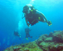 Burnu Dive/Hon Mid Harriet Flowerdew surveying one of the many reefs