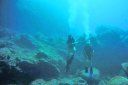 Burnu Dive/The underwater terrain was just as incredible as that above water