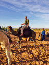 Cockney Toubkal/Trooper Ogilvie-Graham demonstrating his camel riding prowess